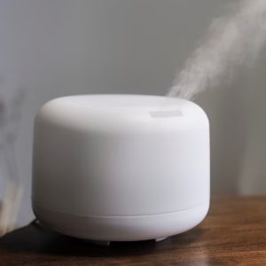 Facial Steamer